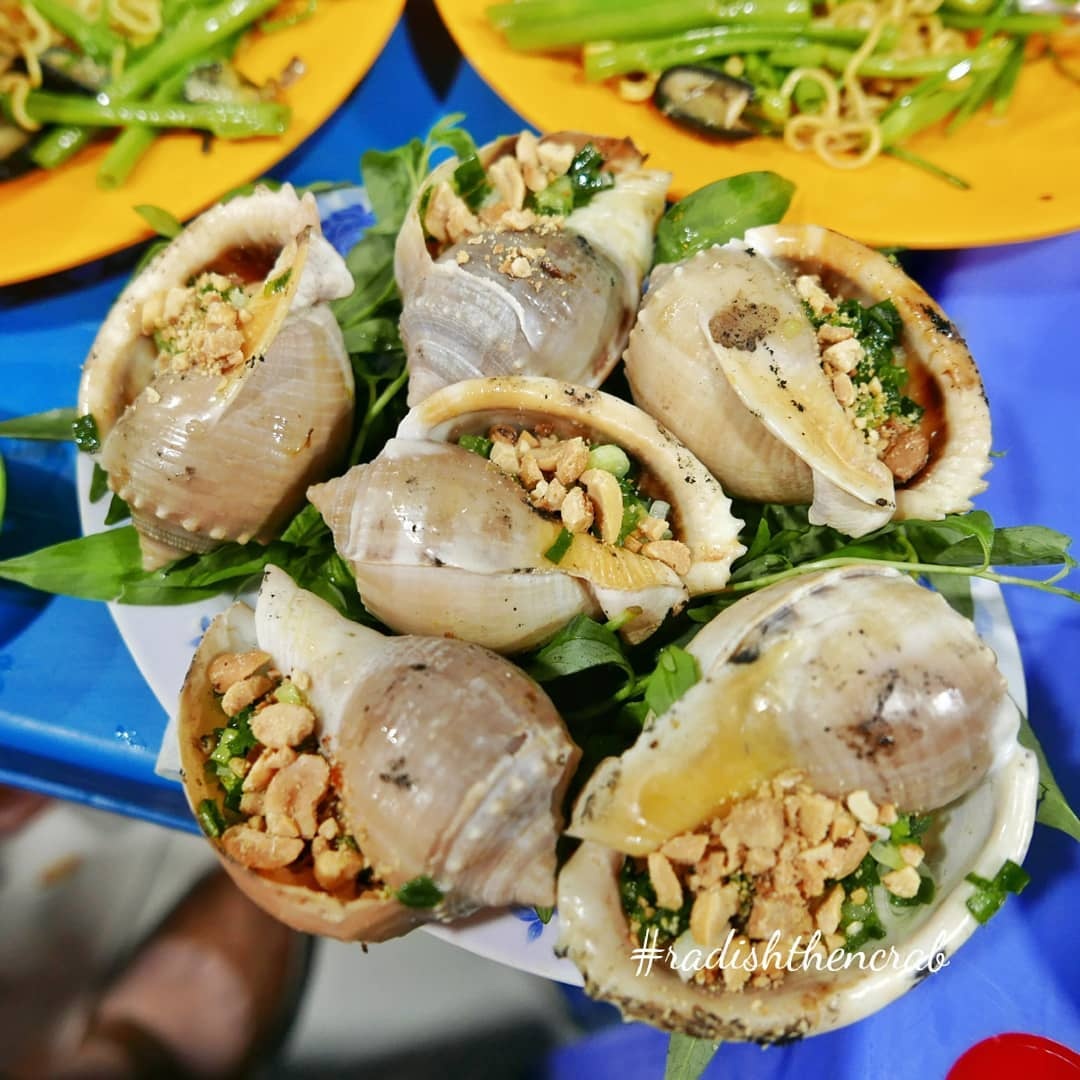 phan biet cac loai oc anh 1