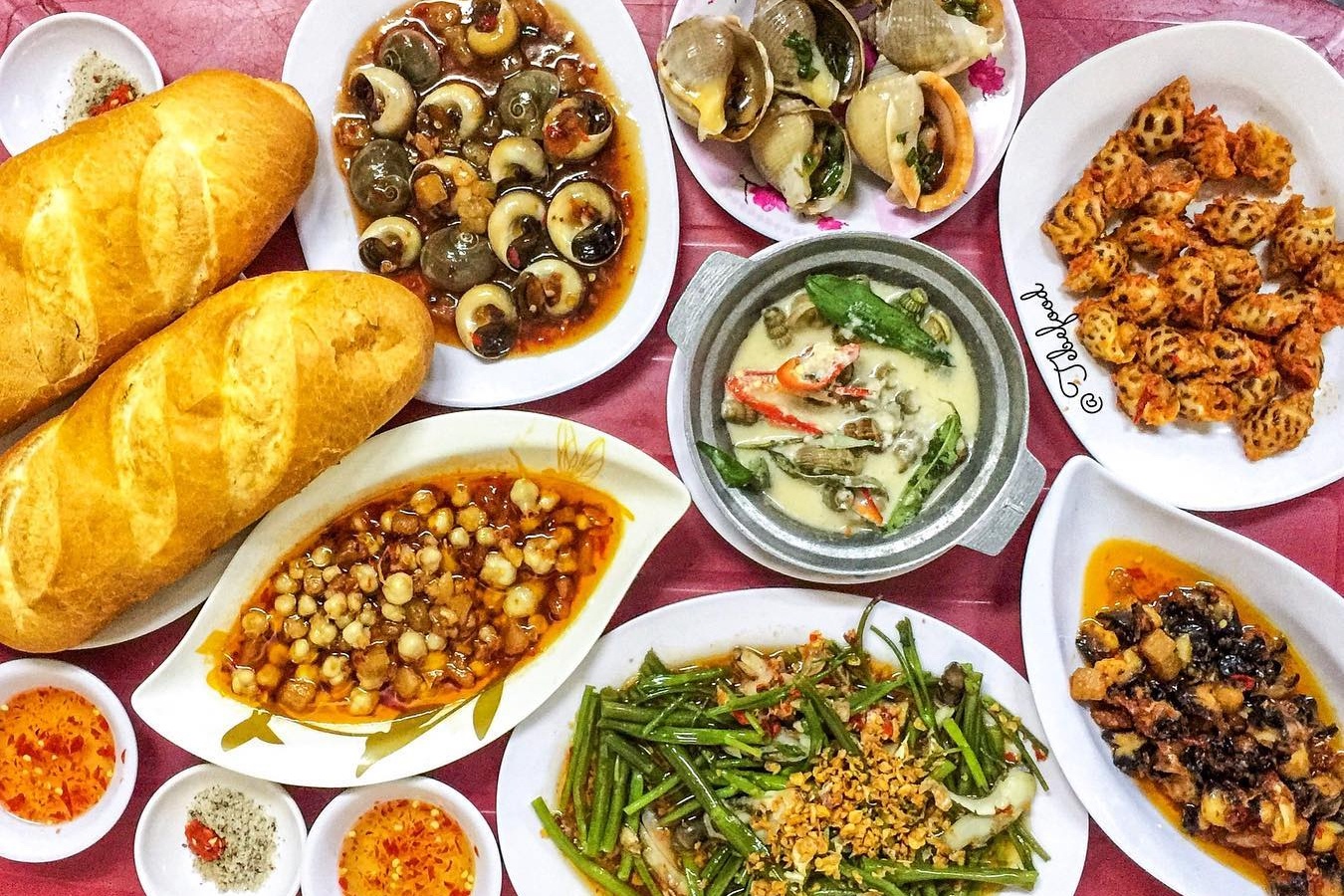 Nhin hinh dang doan ngay ten cac loai oc ngon hinh anh