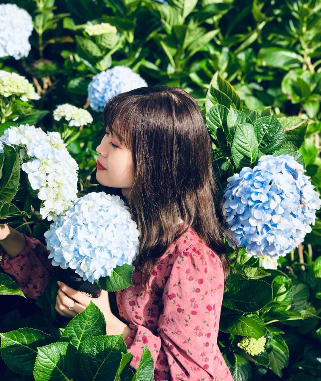 phuong tim da lat anh 6