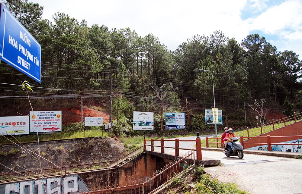 phuong tim da lat anh 5