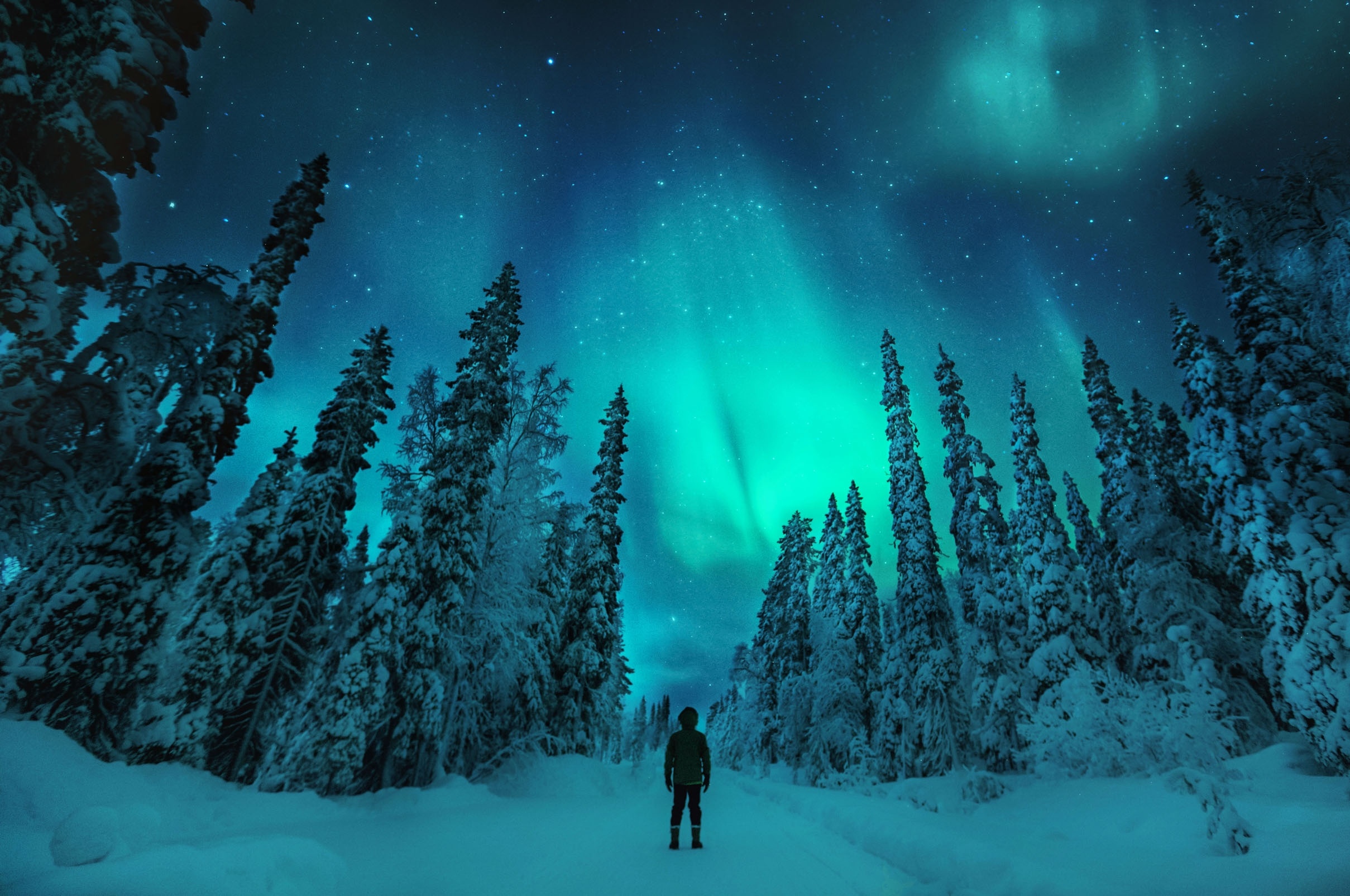 quoc gia hanh phuc nhat the gioi anh 3