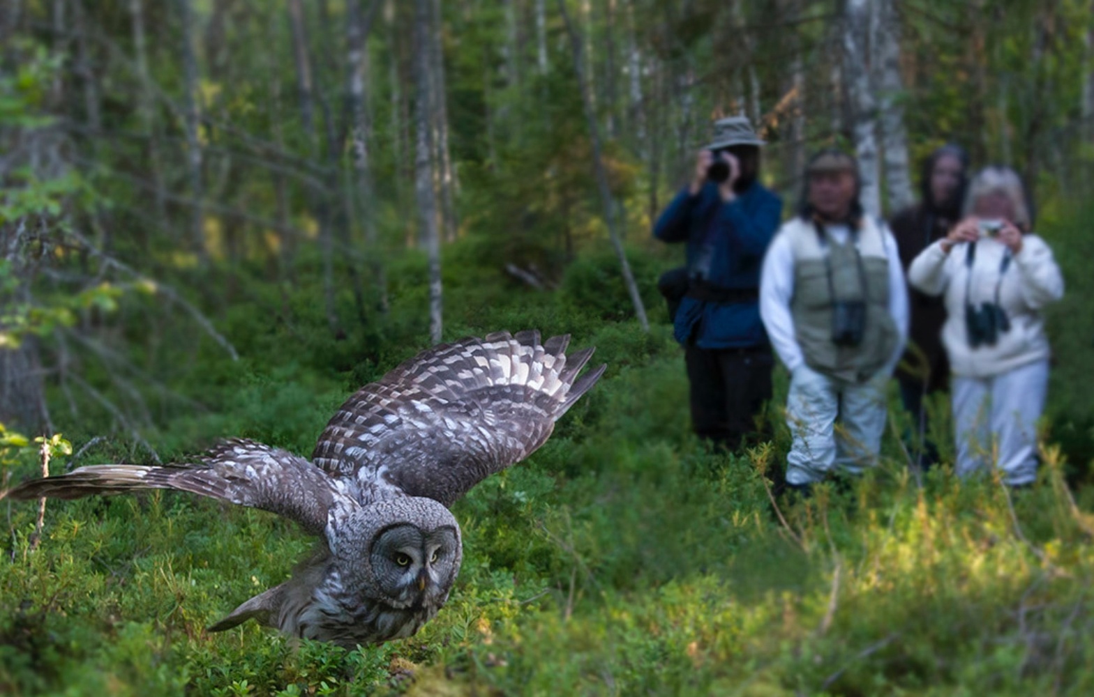 quoc gia hanh phuc nhat the gioi anh 5