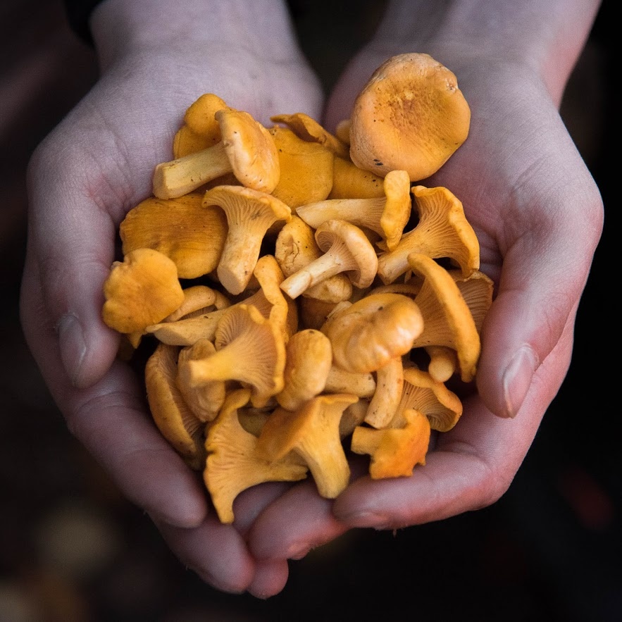 quoc gia hanh phuc nhat the gioi anh 2