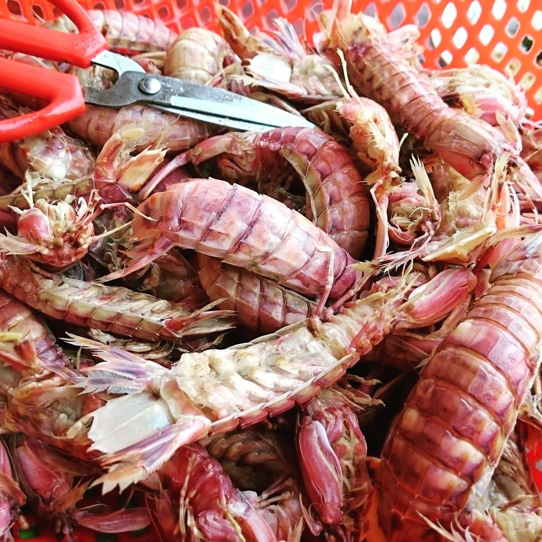 cac loai tom ngon anh 4