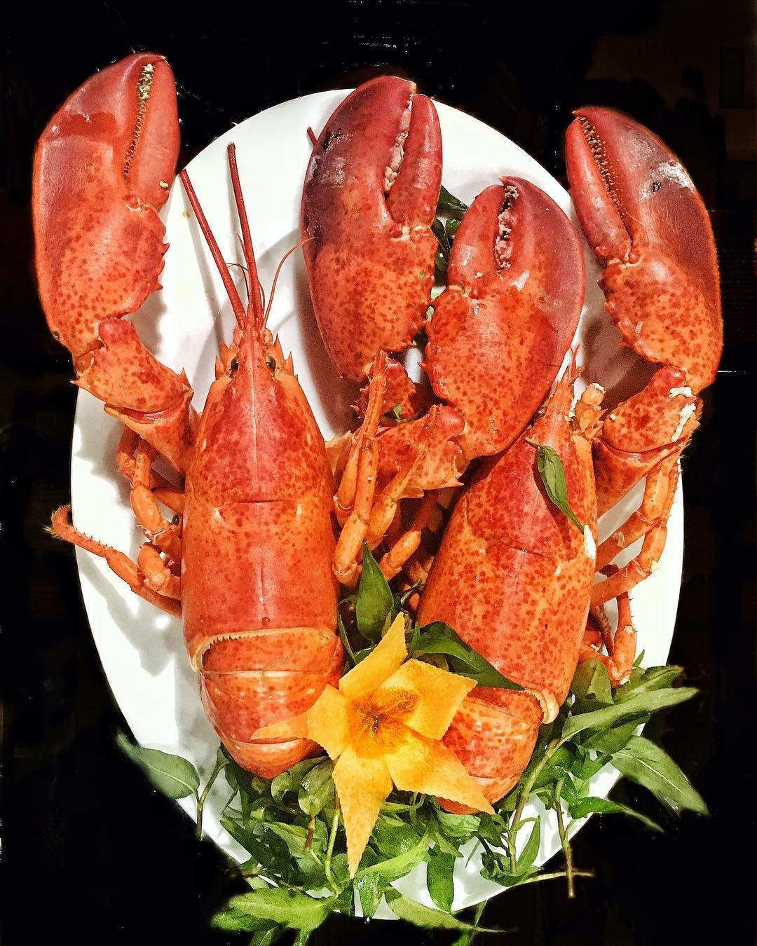 cac loai tom ngon anh 7