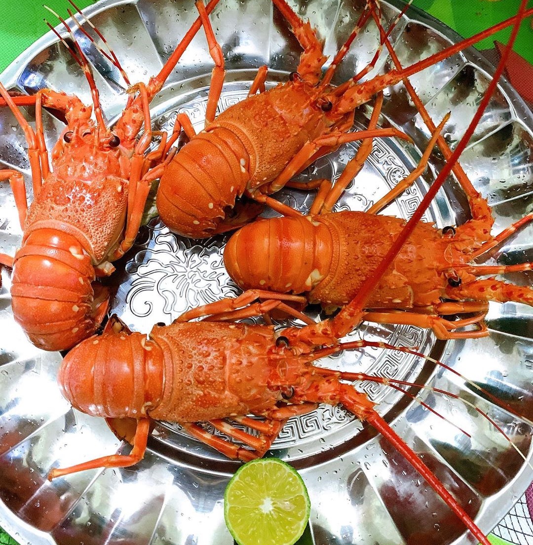 cac loai tom ngon anh 6