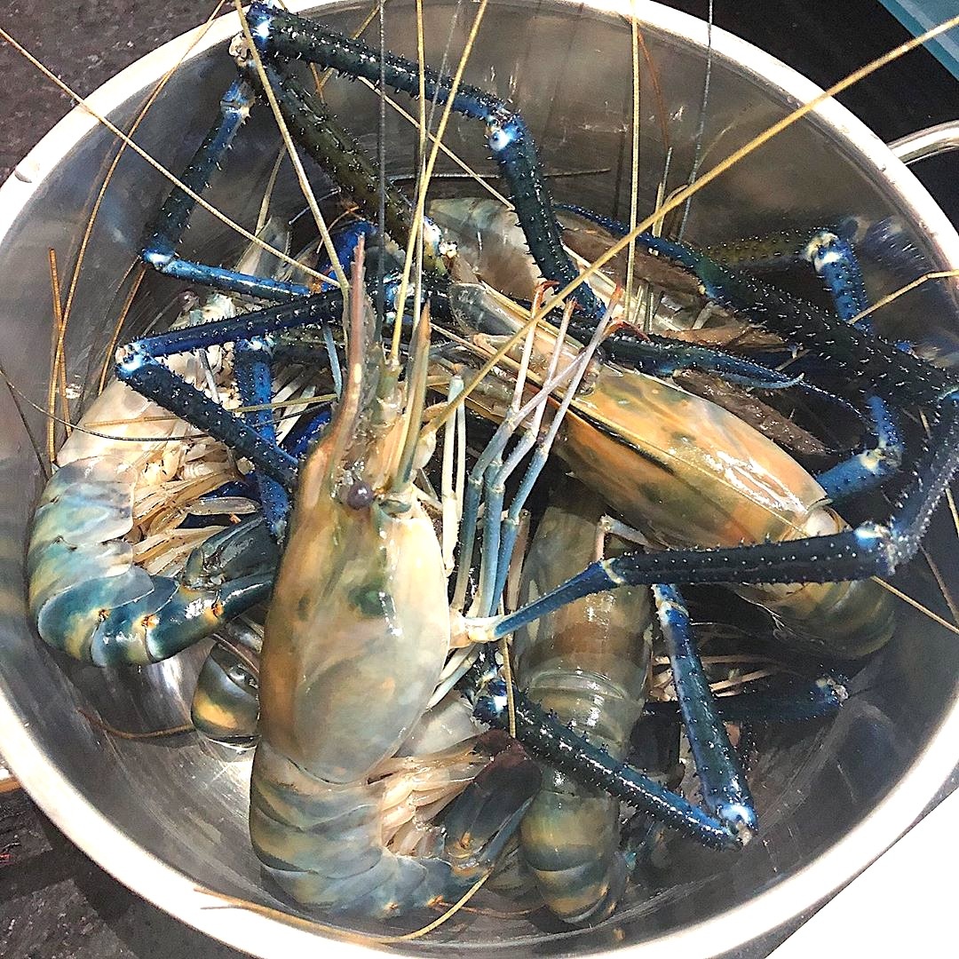 cac loai tom ngon anh 2