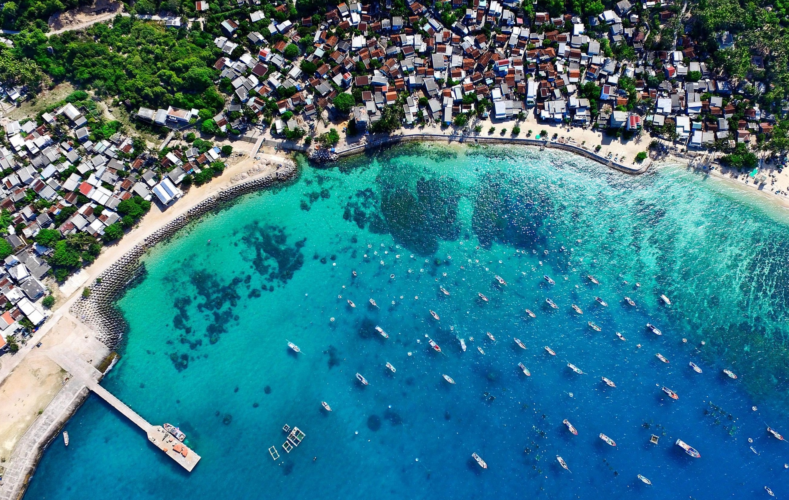 du lịch quy nhơn ảnh 5 du lich quy nhon anh 5