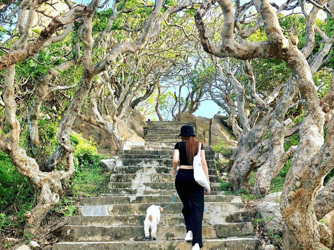 3 diem du lich co hang su co thu hut khach check-in hinh anh