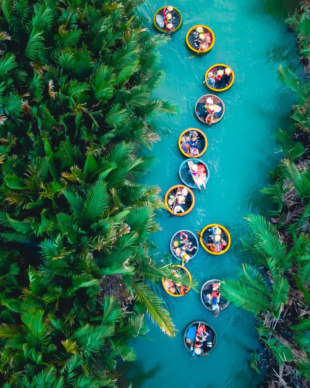 rừng dừa bảy mẫu hội an  ảnh 1 rung dua bay mau hoi an anh 1