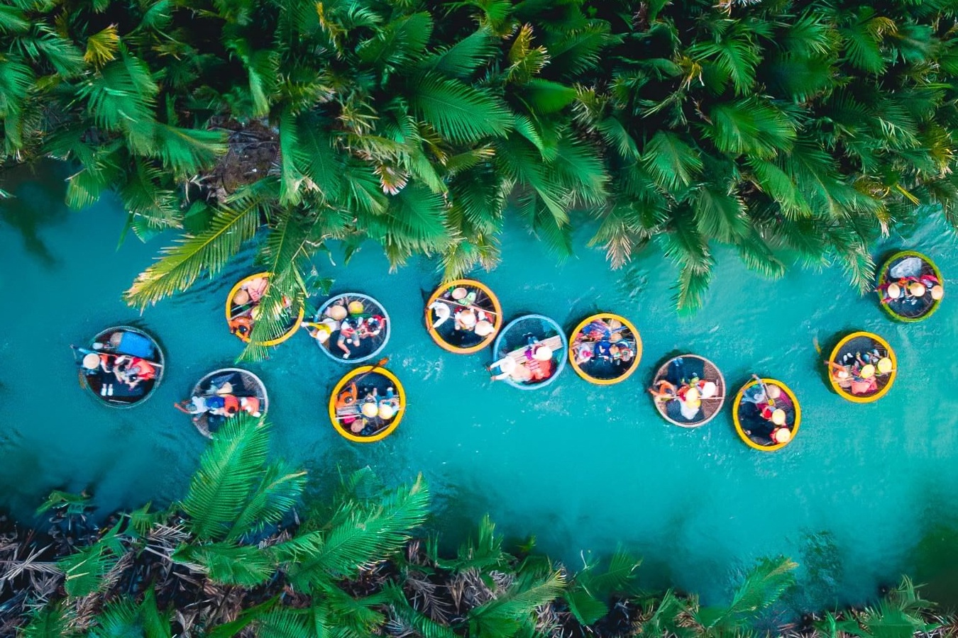 Rung dua nuoc hut khach o Hoi An co ten la gi? hinh anh