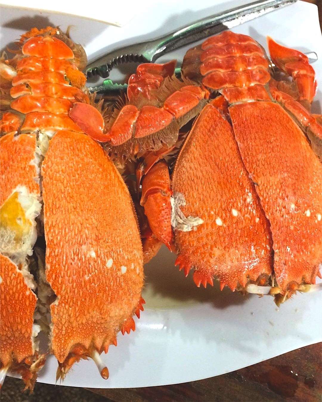 chả cá đỏ củ lý sơn ảnh 6 cha ca do cu ly son anh 6