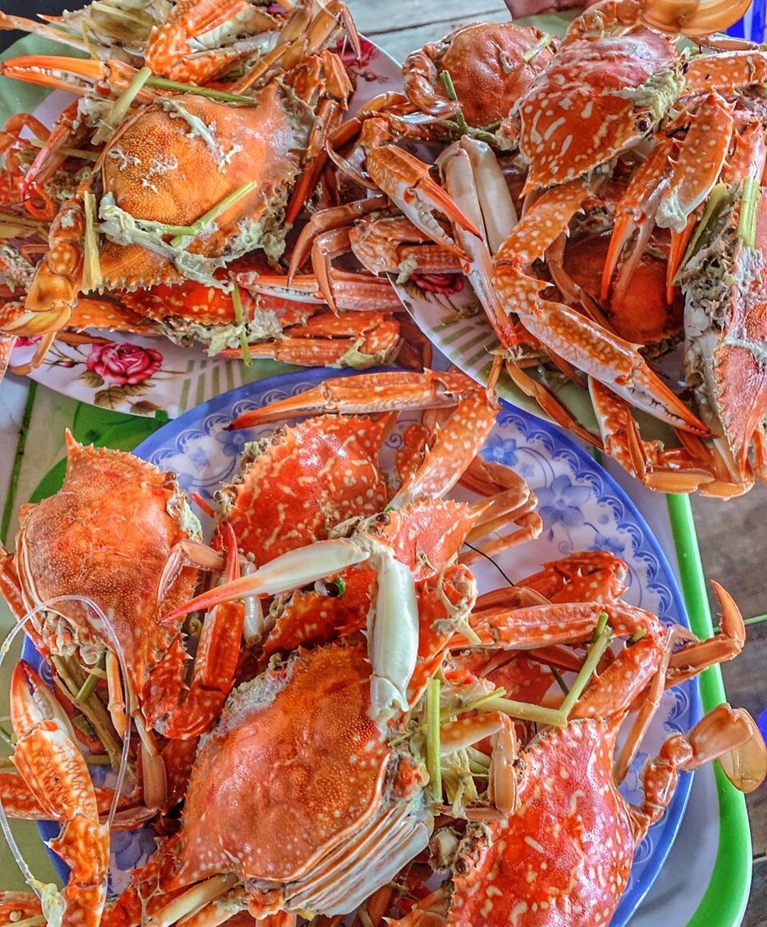 dac san phu yen anh 5