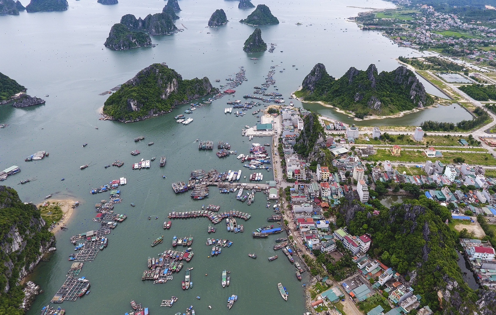 tinh co 2 huyen dao anh 4