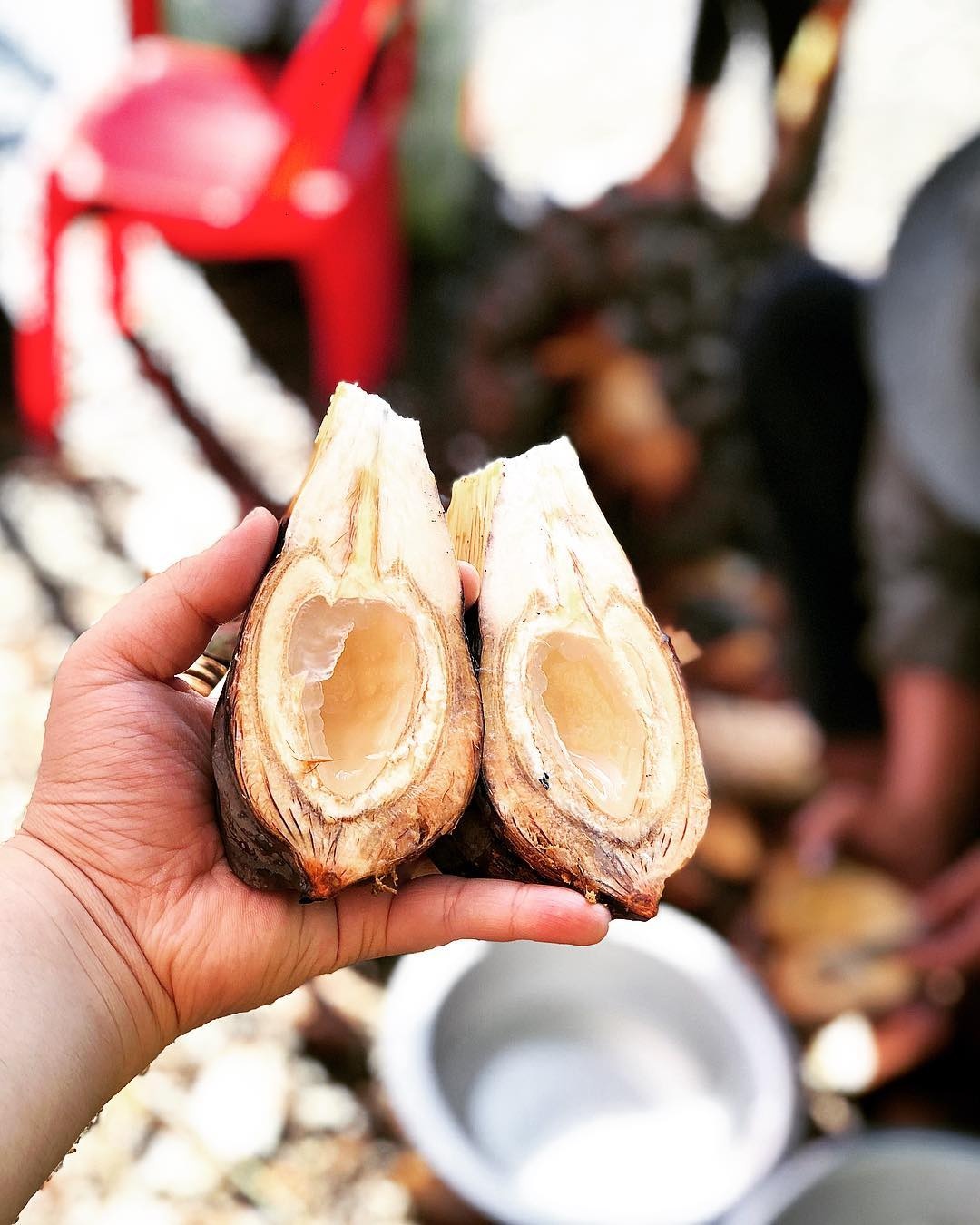 hai san can gio anh 4