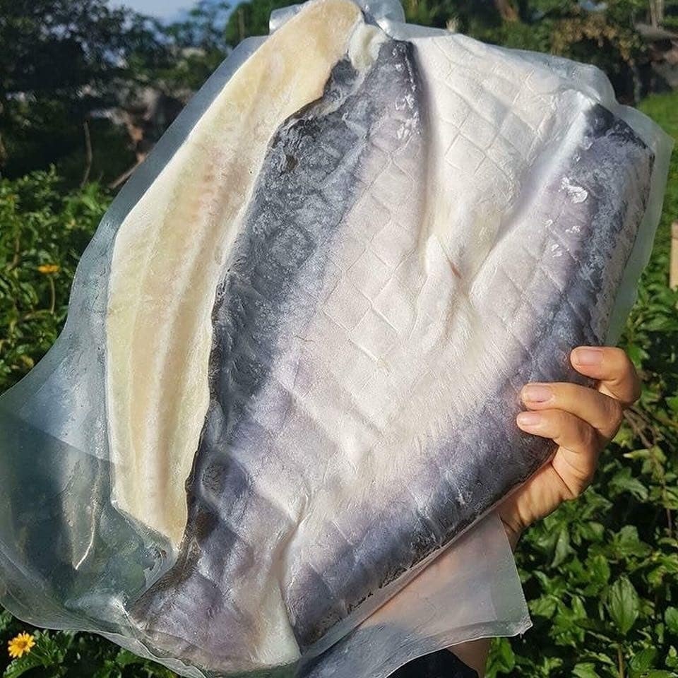 hai san can gio anh 2