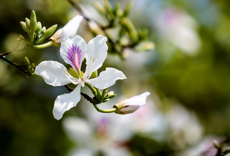 huyen trung ten tinh truc thuoc anh 5