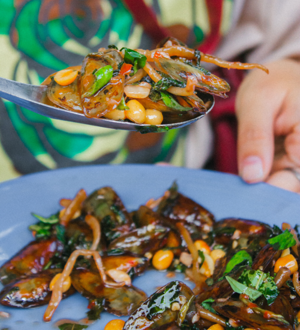 ca xiu ha tien anh 1