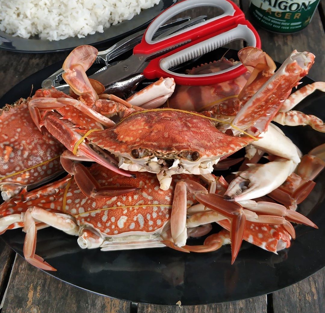 ca xiu ha tien anh 4