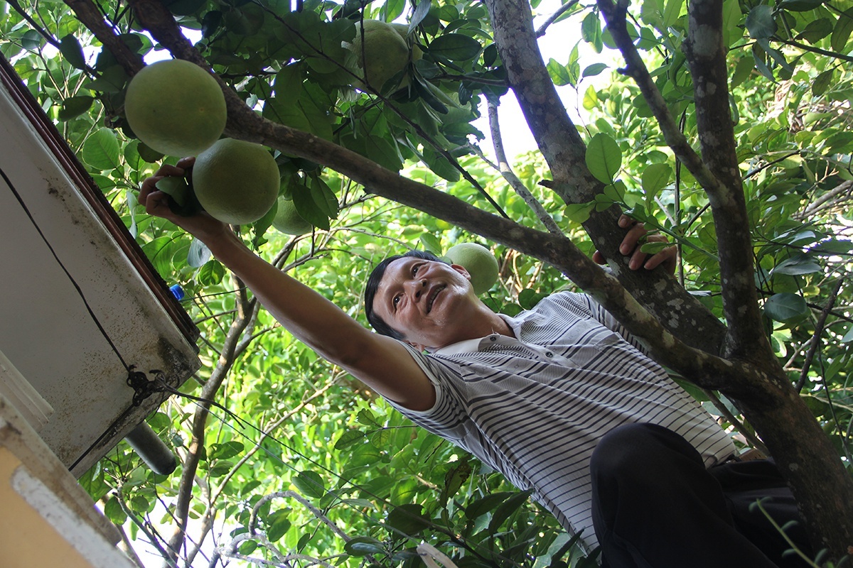 thanh tra thuy bieu anh 3