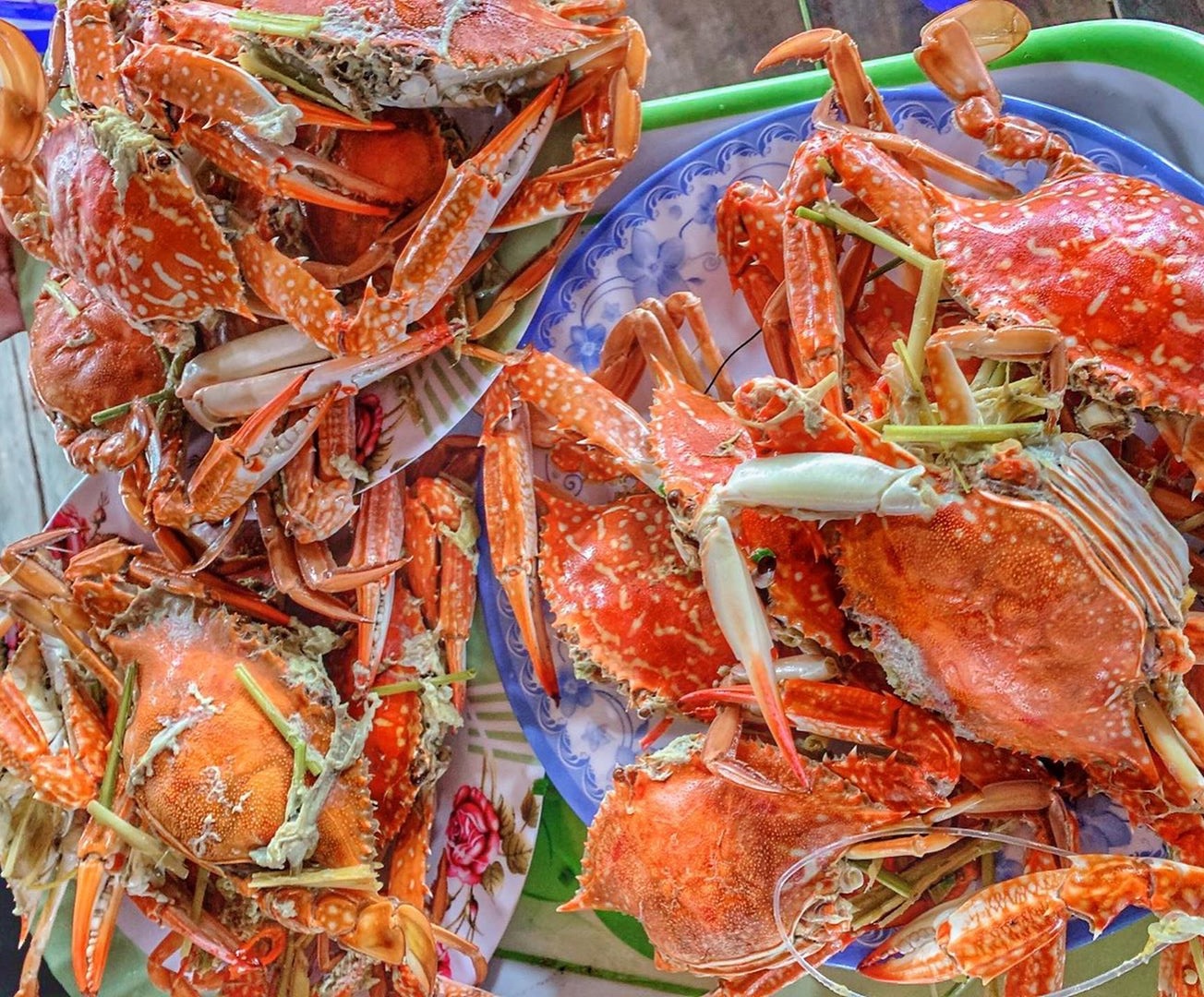 cach phan biet cua va ghe anh 4