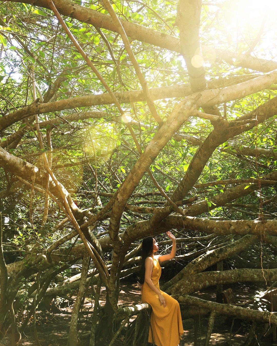 du lich can tho anh 3