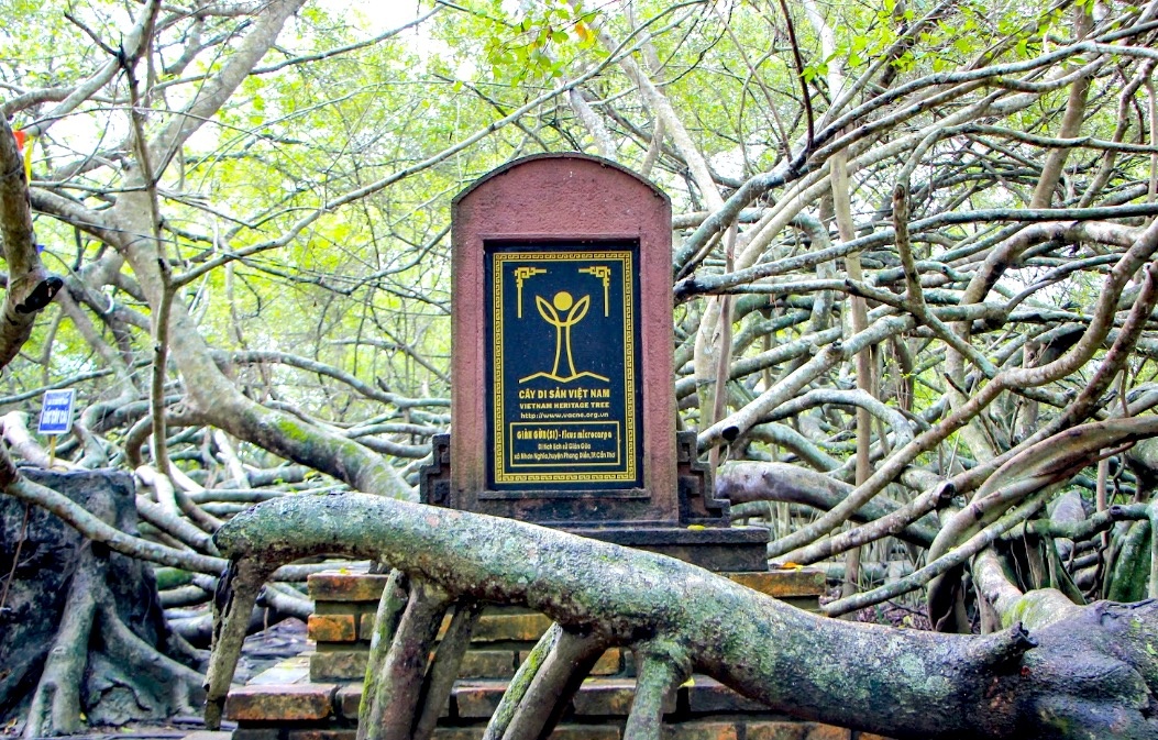 du lich can tho anh 1