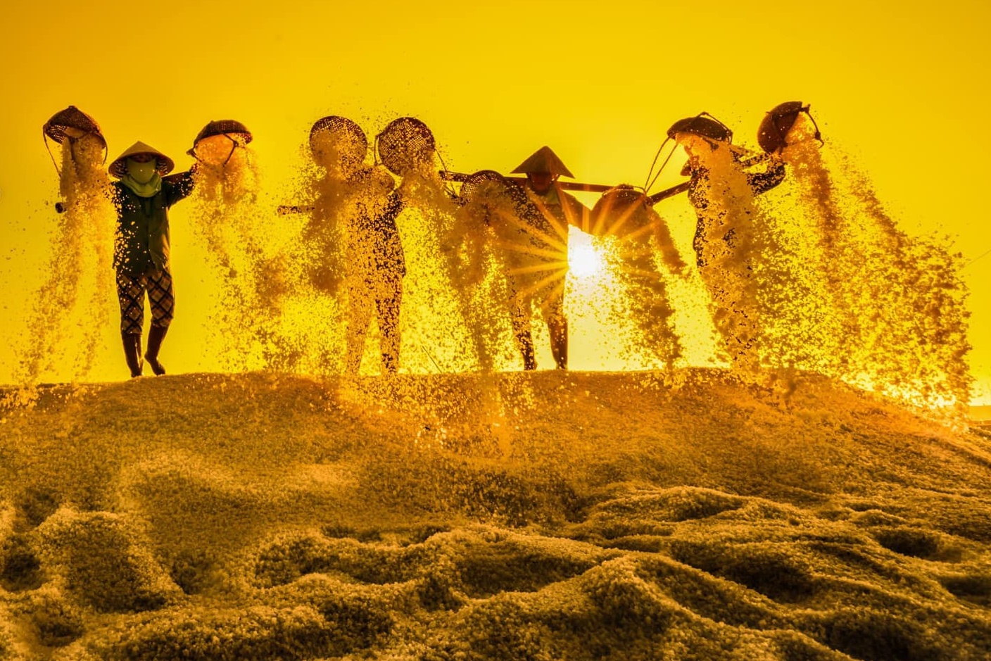 Thi xa nao co dien tich lon nhat Viet Nam? hinh anh