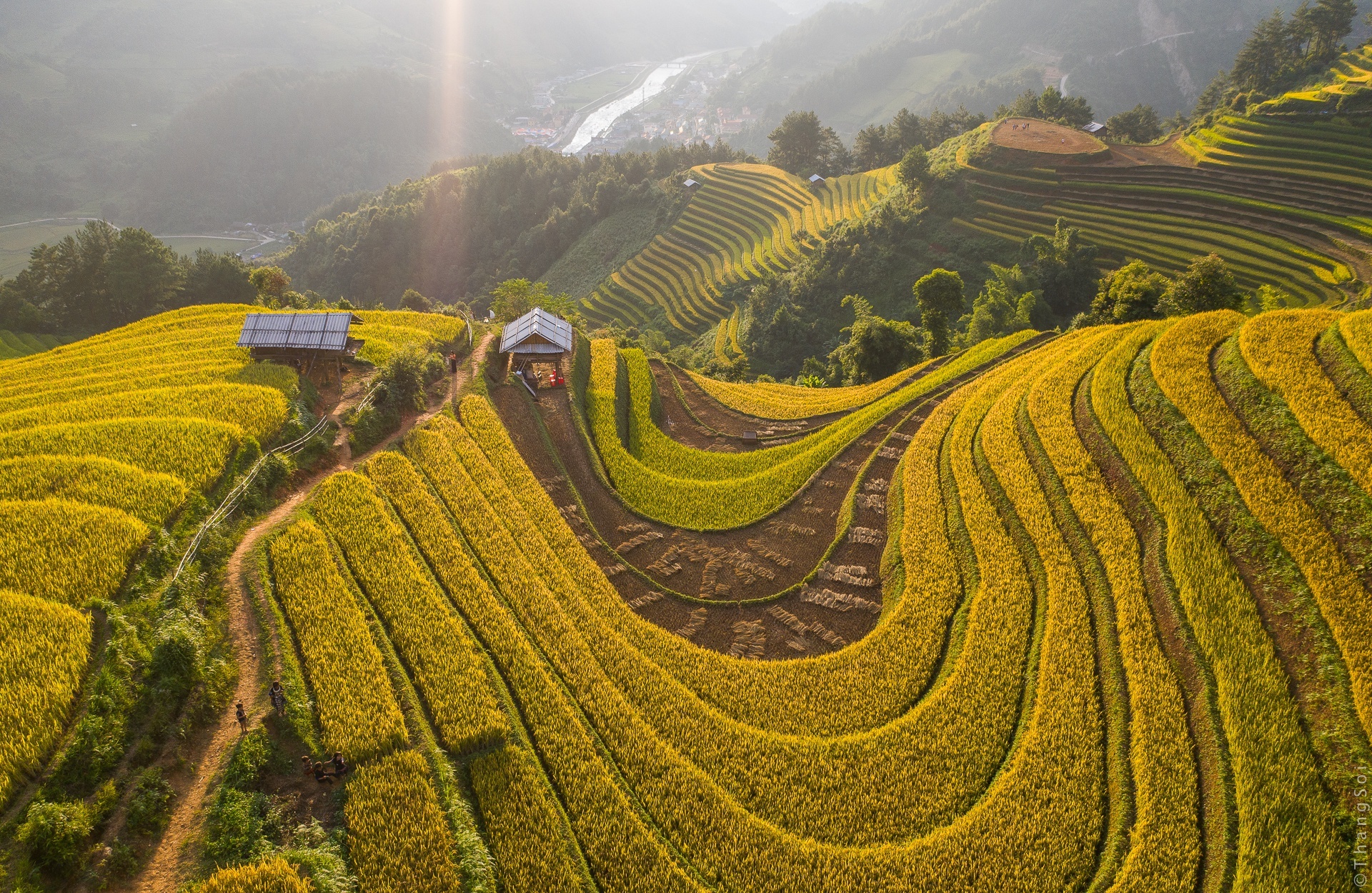 ruong bac thang mu cang chai anh 2