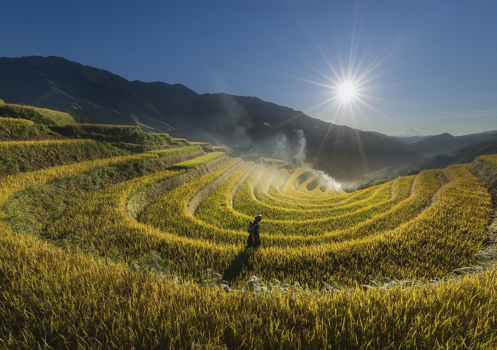 ruong bac thang mu cang chai anh 3