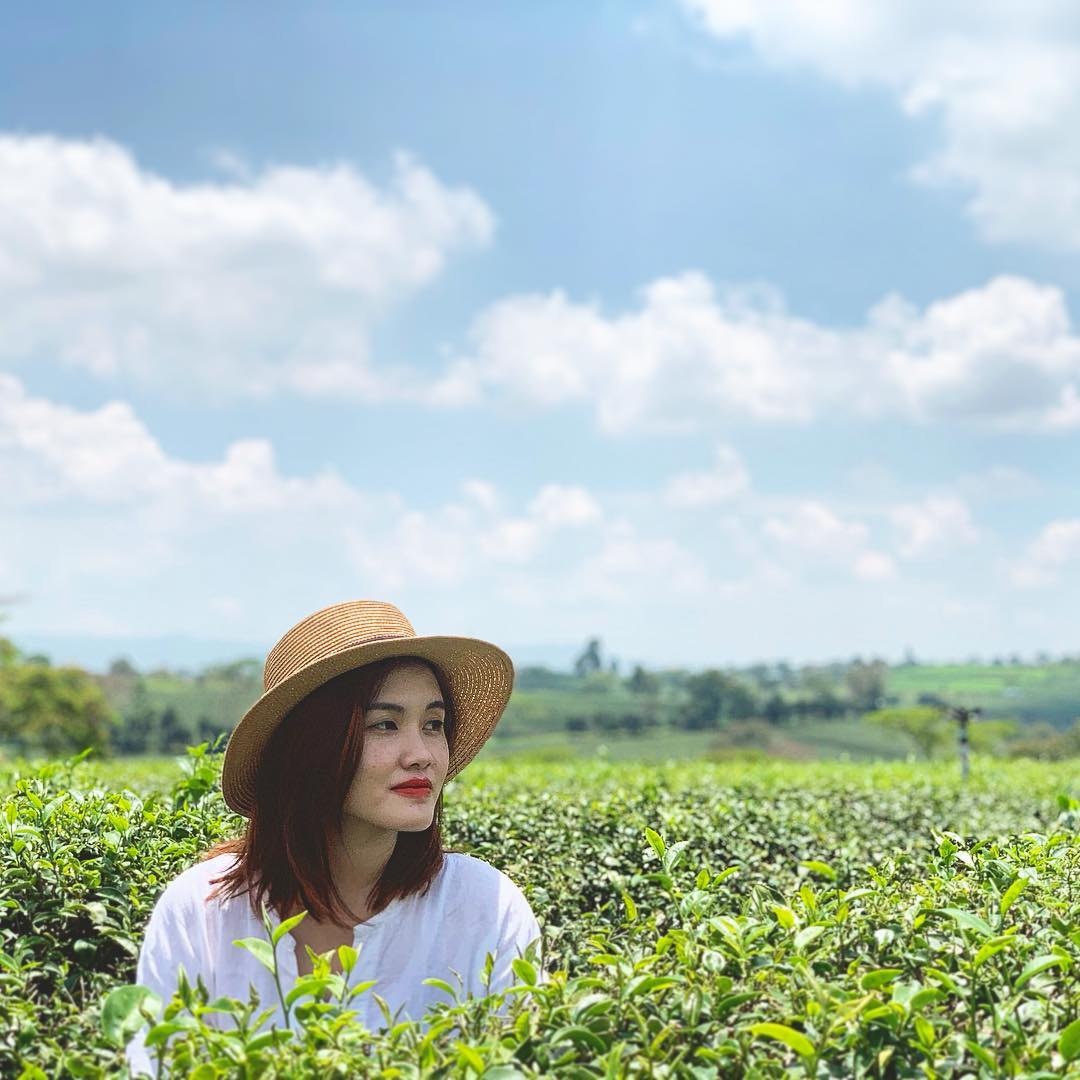 du lịch lâm đồng ảnh 5 du lich lam dong anh 5