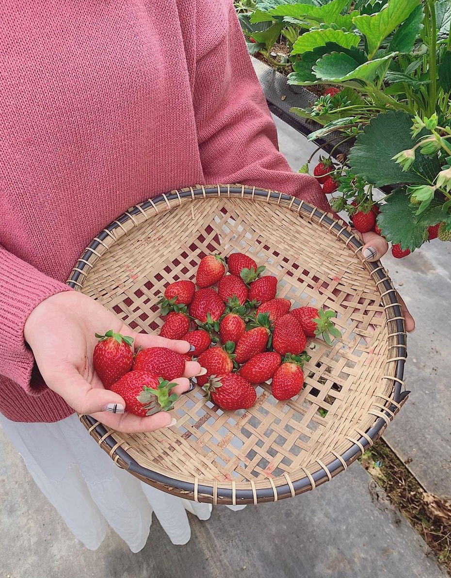 dac san da lat anh 7