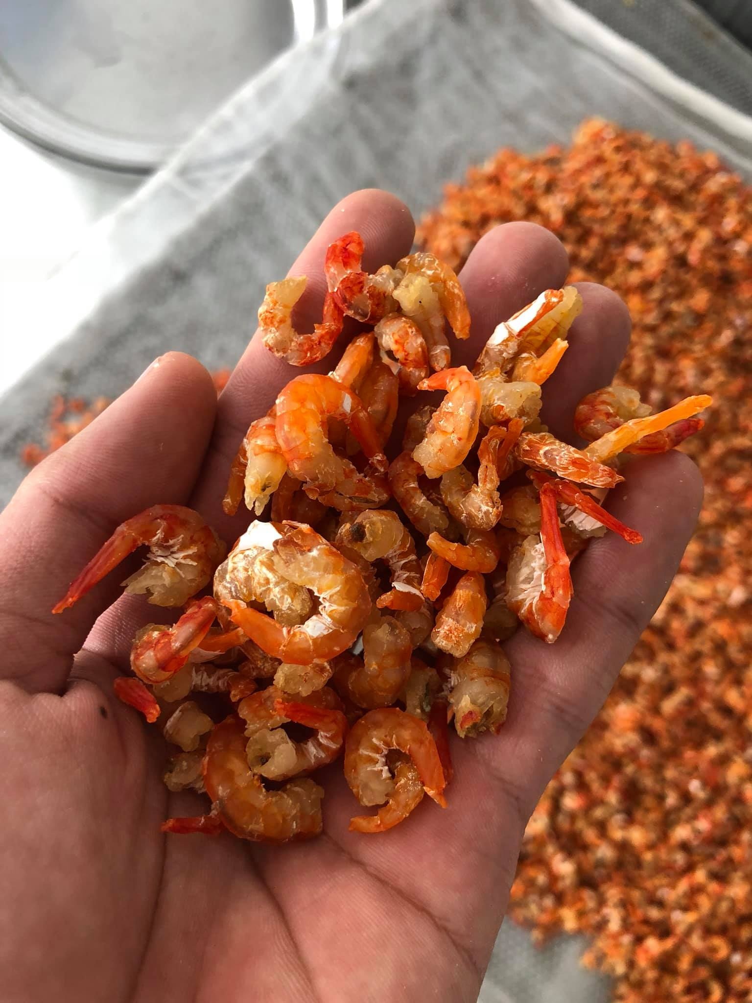 khô cá bổi cà mau ảnh 3 kho ca boi ca mau anh 3