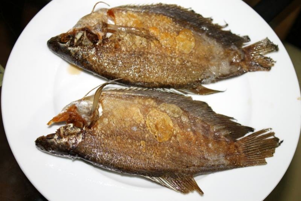 khô cá bổi cà mau ảnh 2 kho ca boi ca mau anh 2