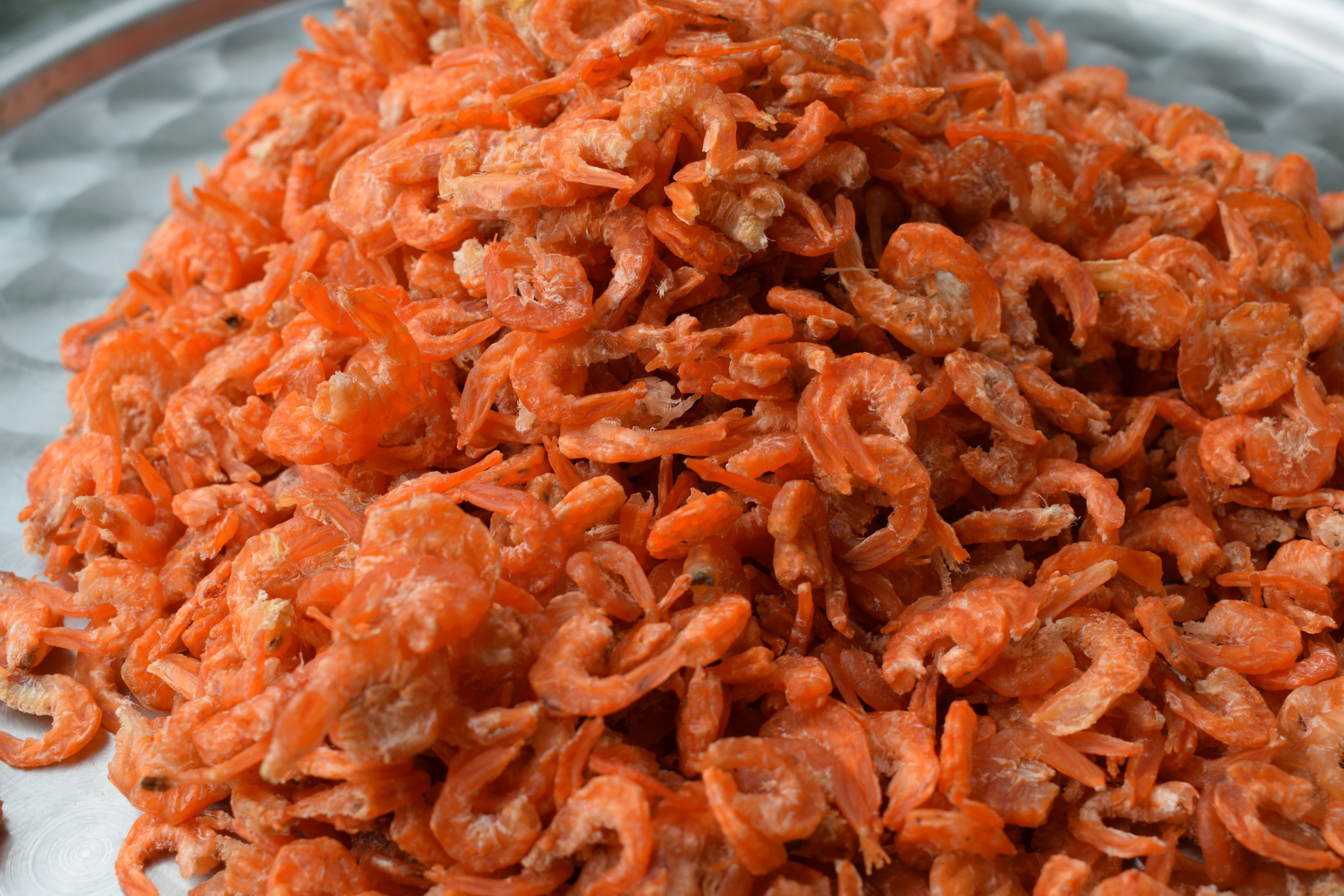 kho ca boi ca mau anh 5