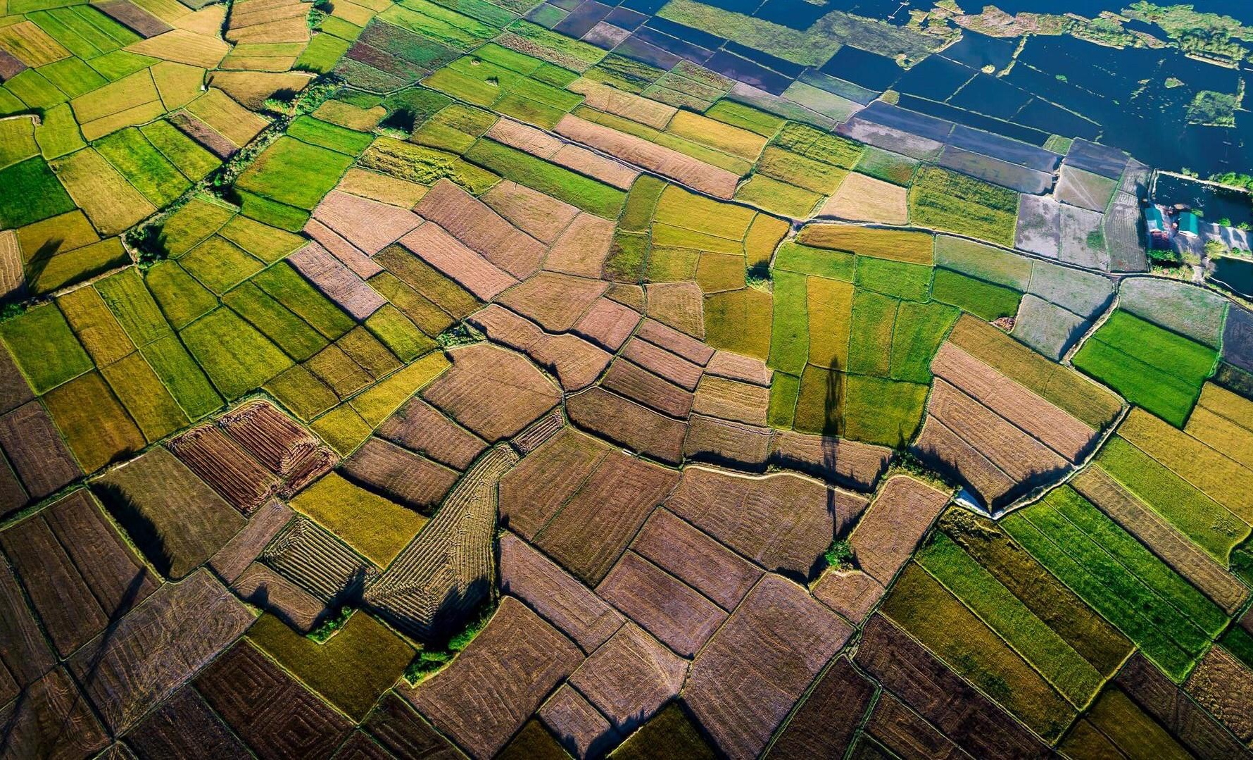 nui lua chu dang ya o dau anh 2