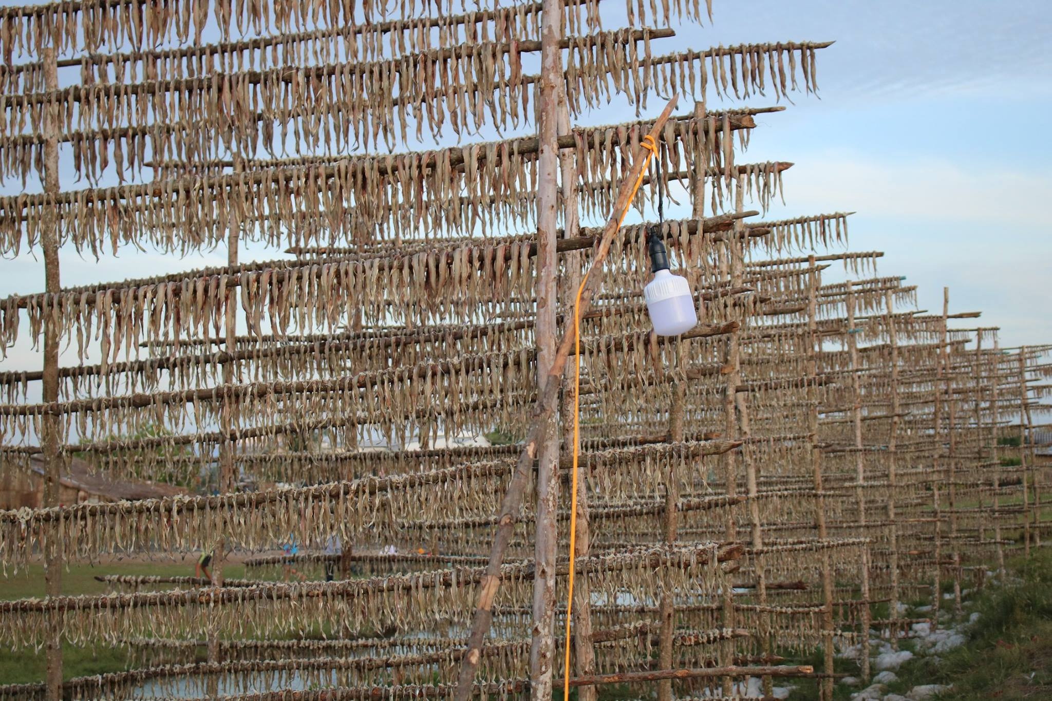 kho ca khoai ca mau anh 2