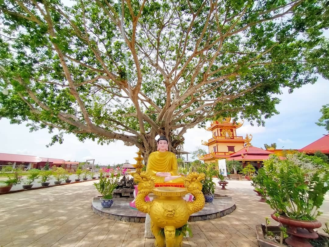 chua o mien tay anh 3