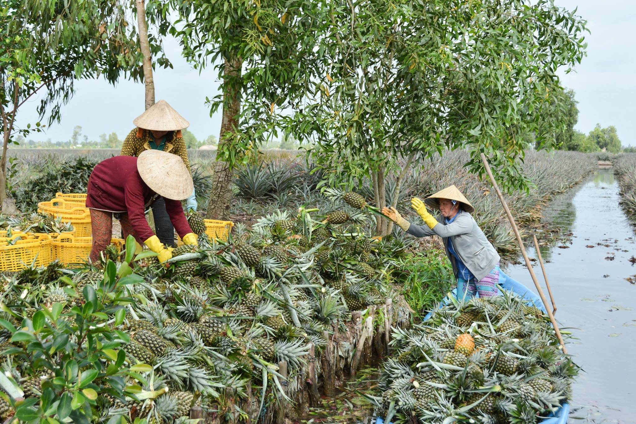 nha tho vi hung anh 5