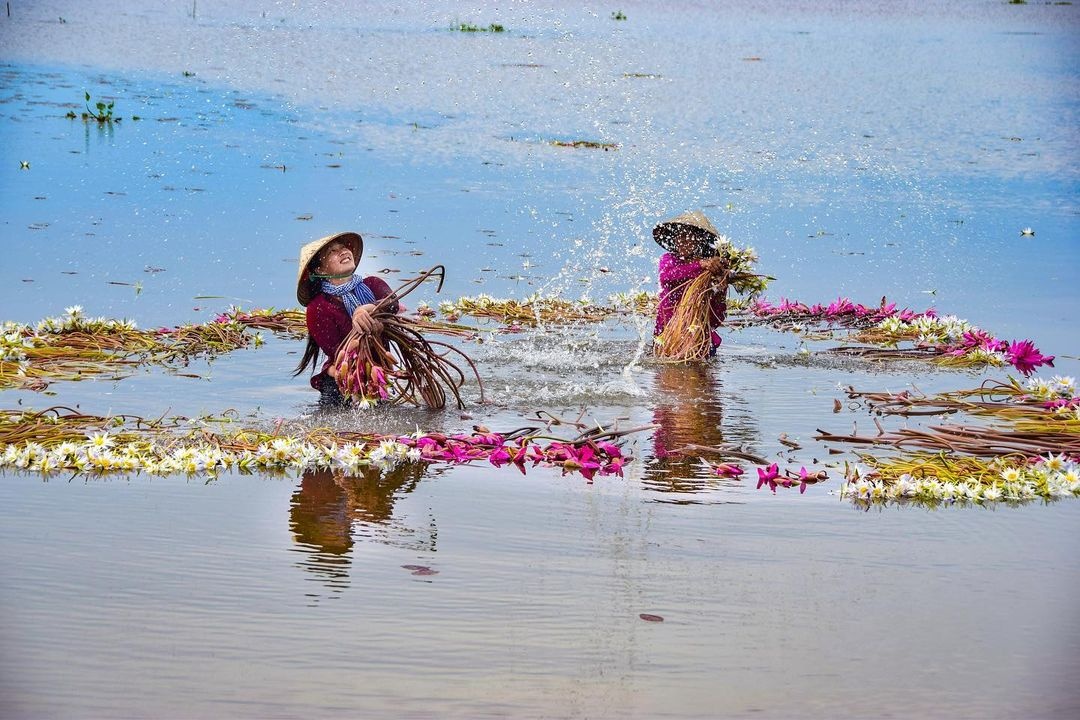 lang noi tan lap o dau anh 5