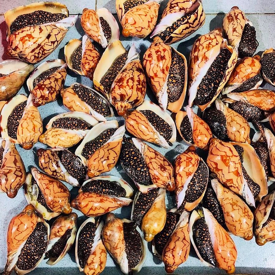 dac san phan thiet anh 2