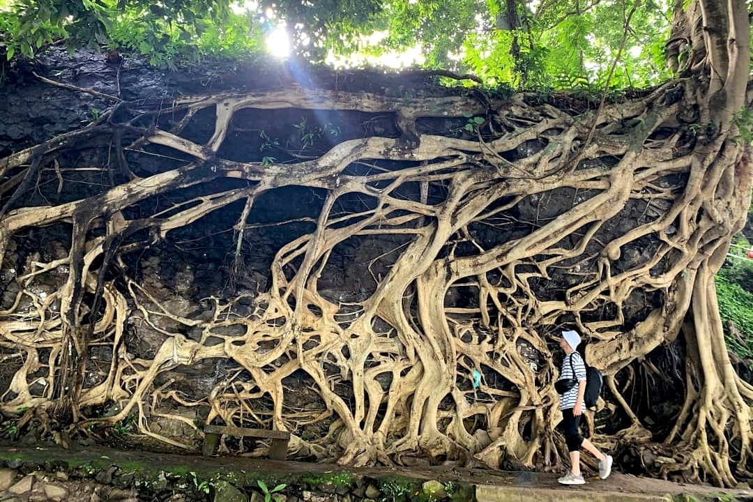 Bo re co thu hut gioi tre check-in o Dak Lak hinh anh