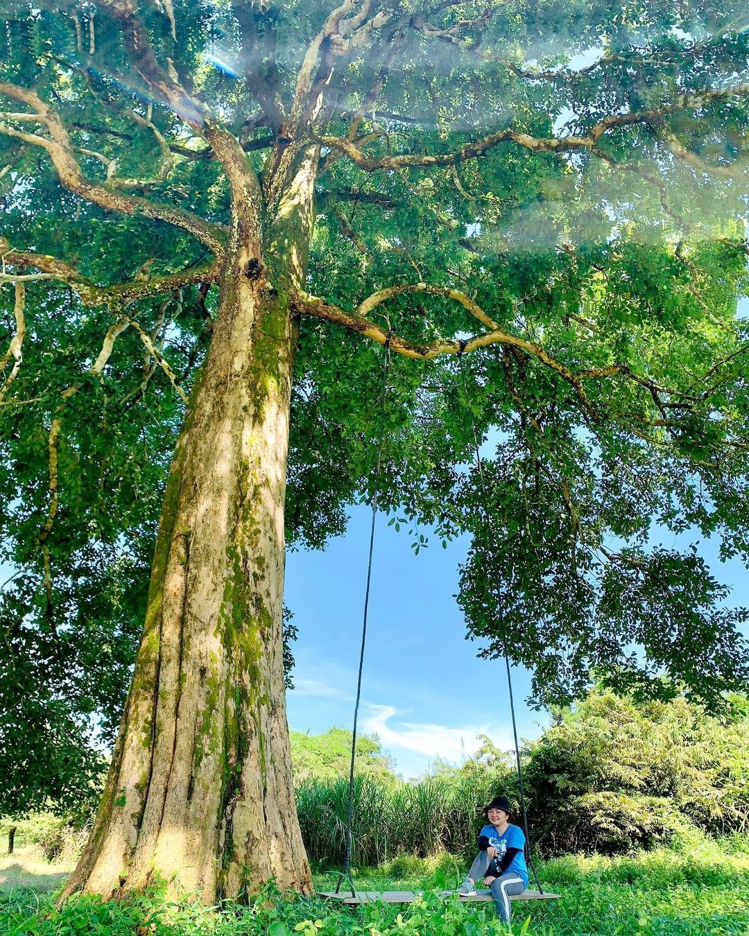 du lich cat tien anh 2