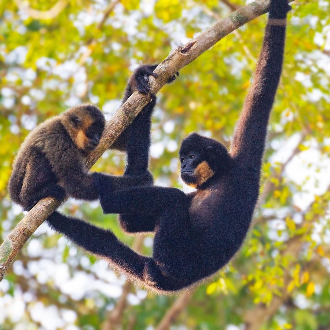 du lich cat tien anh 3