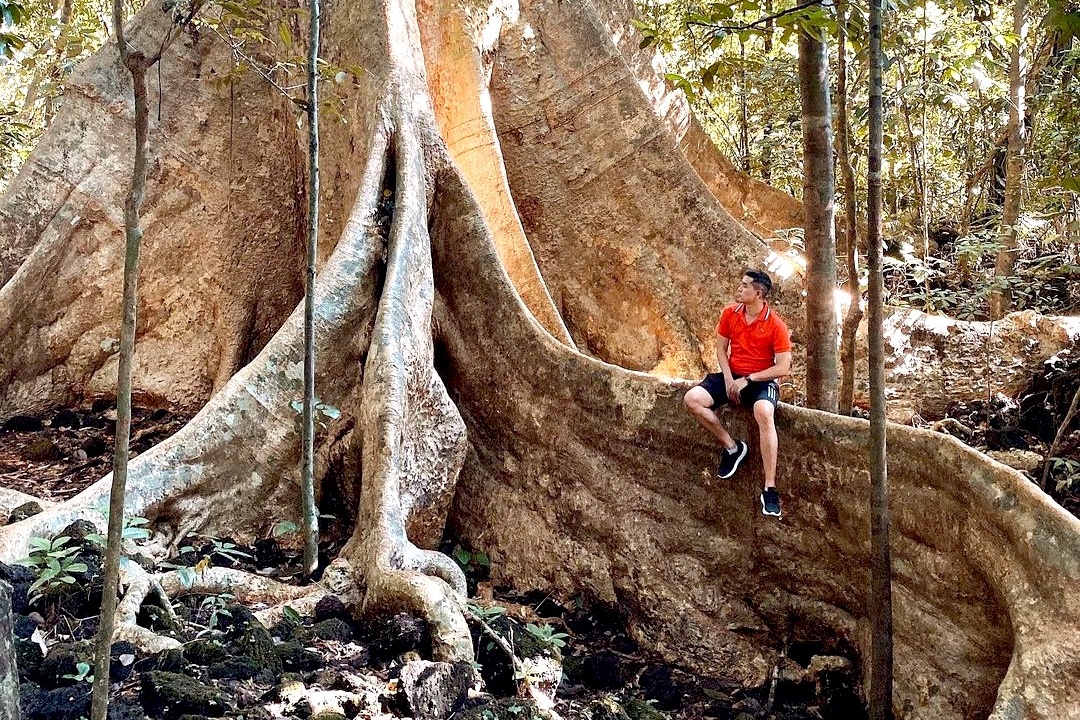 Goc tung khong lo hut khach check-in o Cat Tien hinh anh