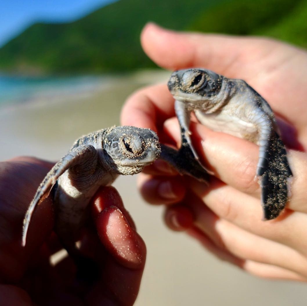 du lich con dao anh 6