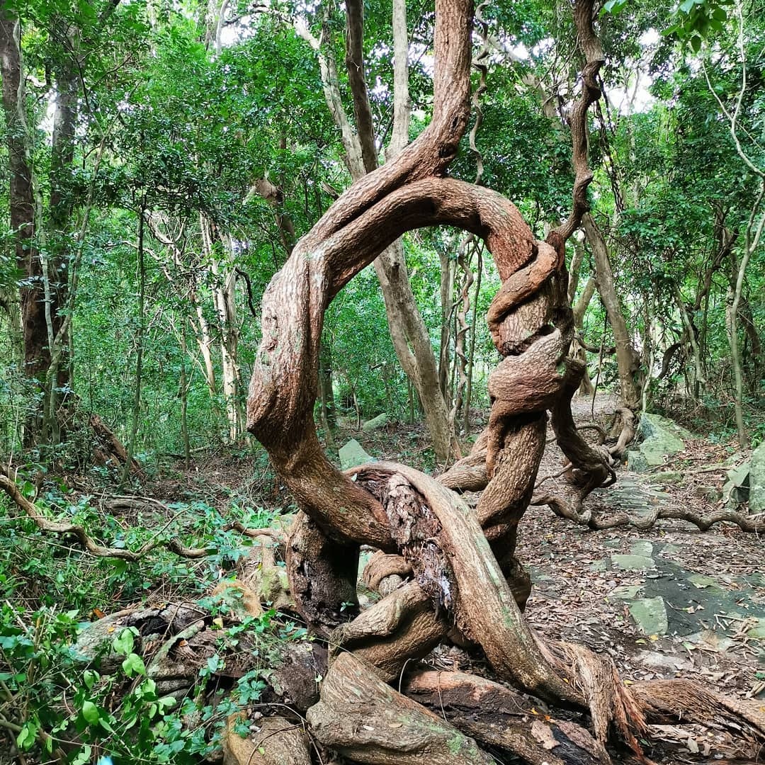 du lich con dao anh 3