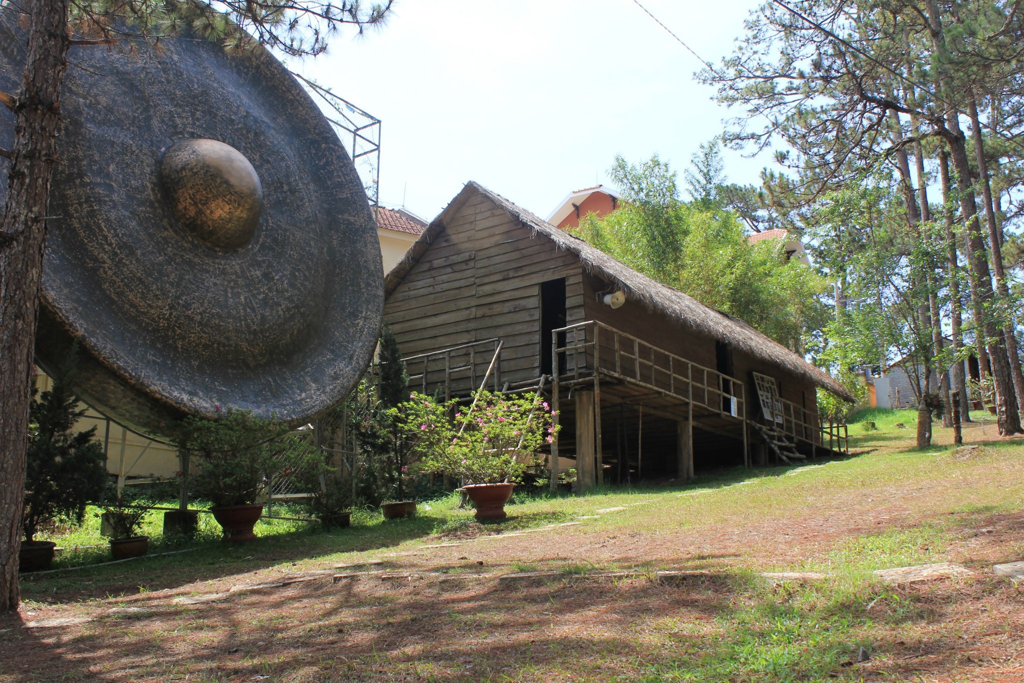 du lich da lat anh 1