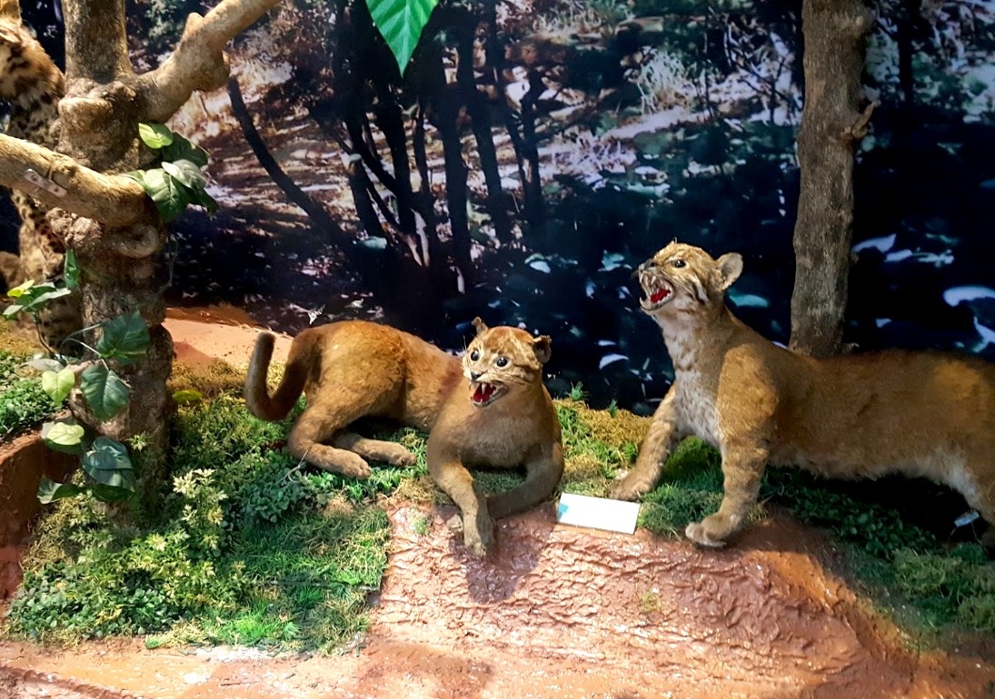 du lich da lat anh 4