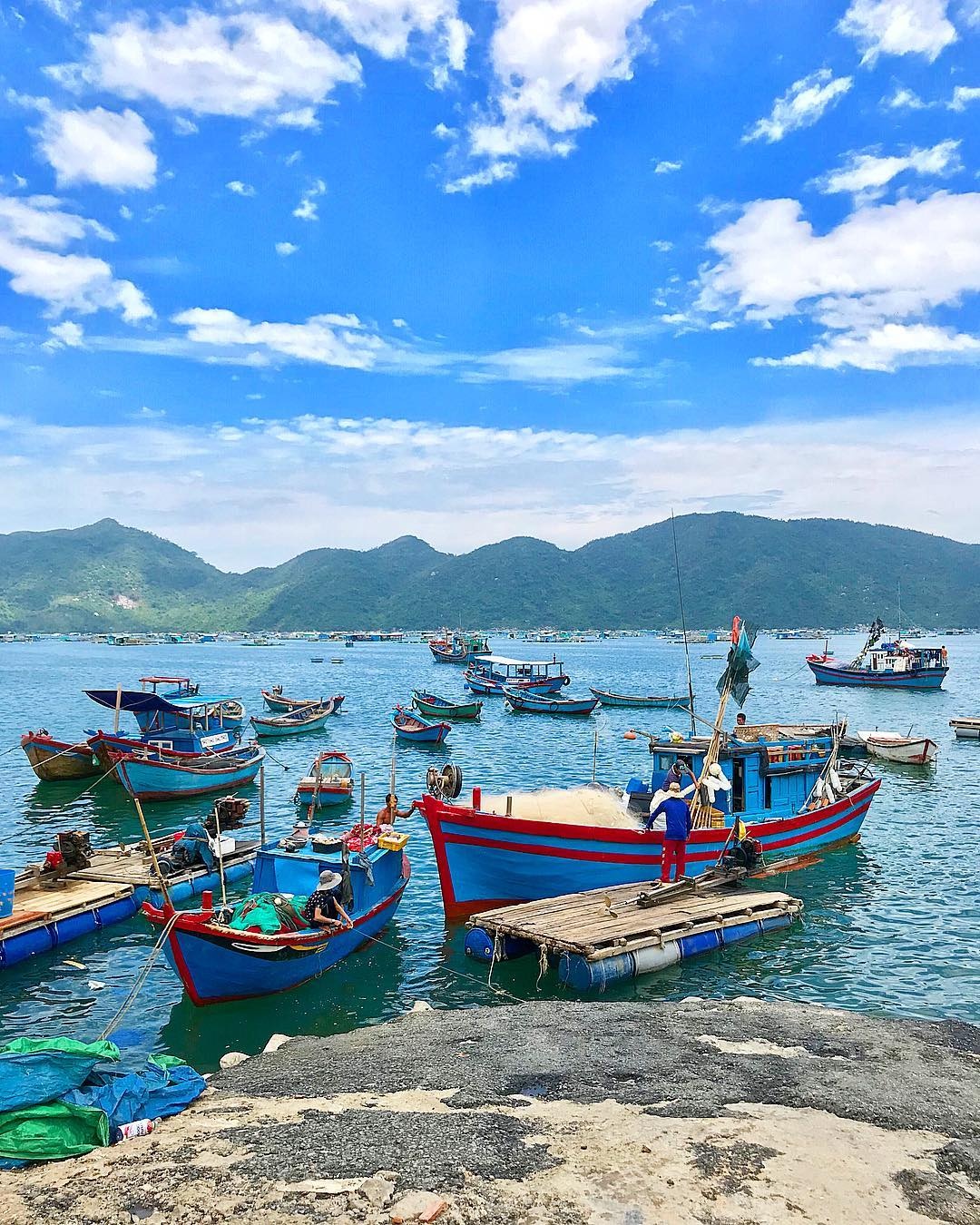 tom hum bong phu yen anh 4